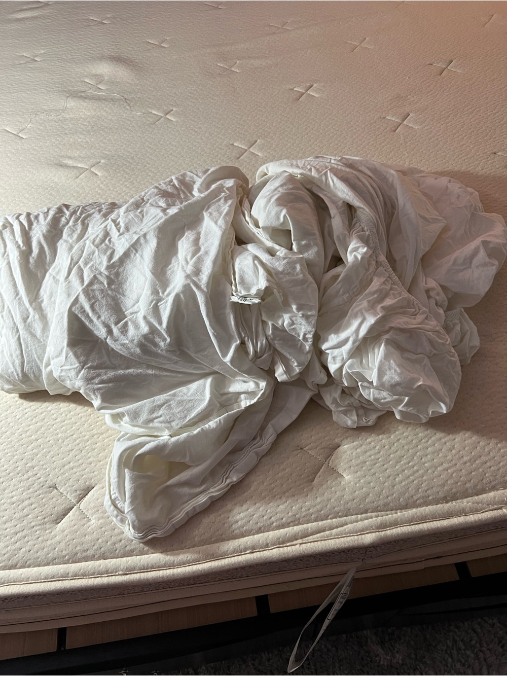 Organic cotton queen sheets